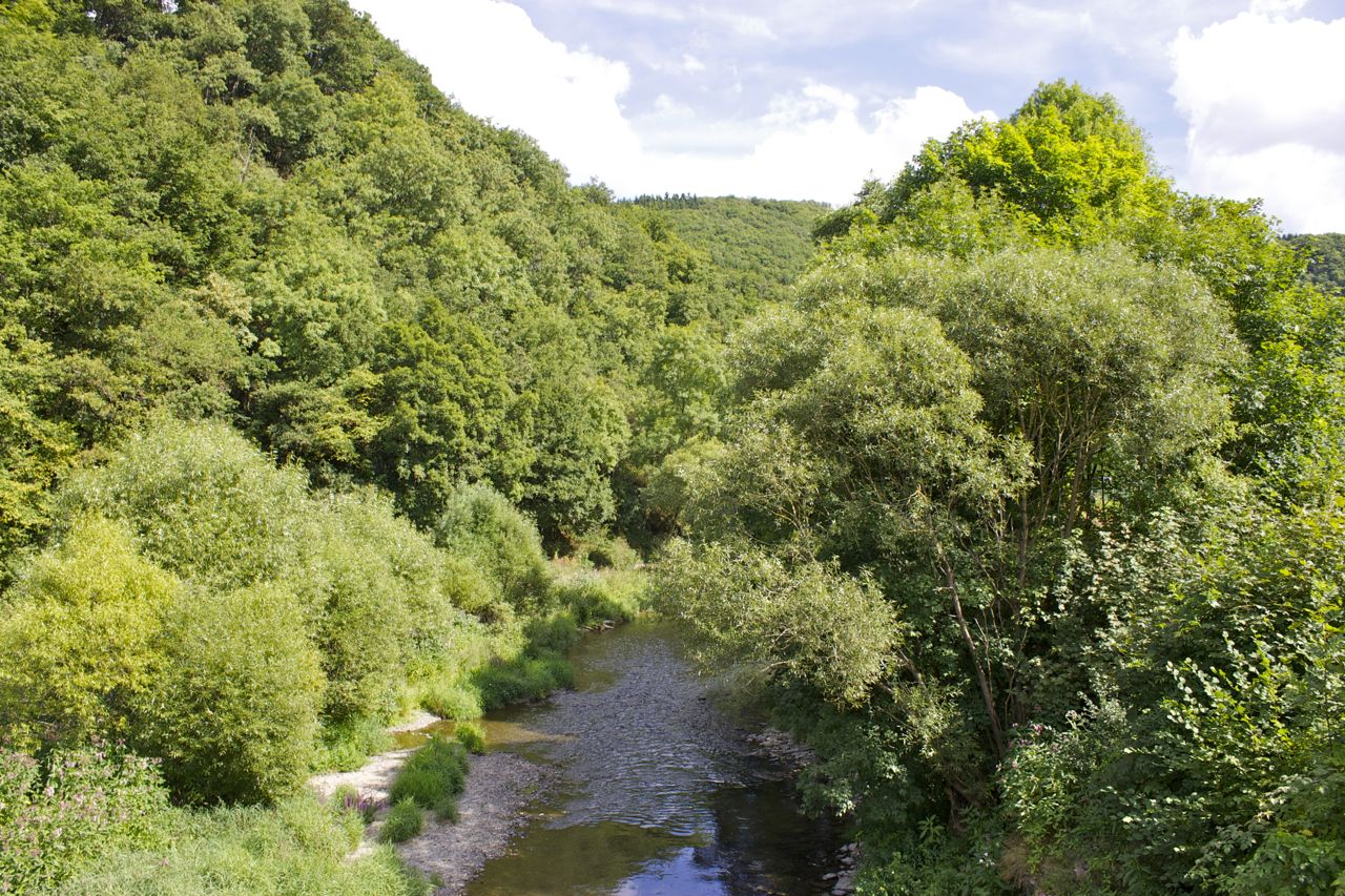 Die Wiltz bei Kautenbach