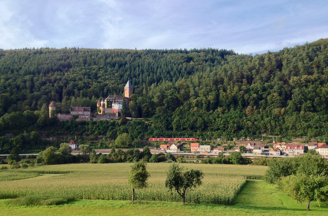 Burg Zwingenberg am Neckar mit Baureihe 425